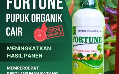 KUALITAS TERUJI! 0813-2747-3262, PUSAT Pupuk Organik Purwodadi, Pupuk Organik Cair Jepara, Pupuk Organik Cair Terbaik Karanganyar