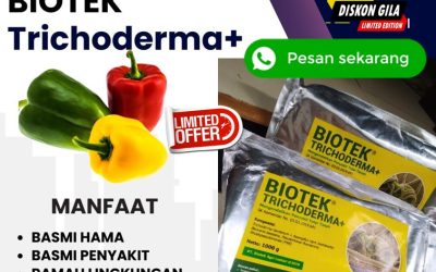 OPEN RESELLER! 0813*2747*3262, AGEN Biotek Trichoderma Kota Bengkulu, Fungisida Trichoderma Gading Cempaka, Fungisida Hayati Trichoderma Kampung Melayu