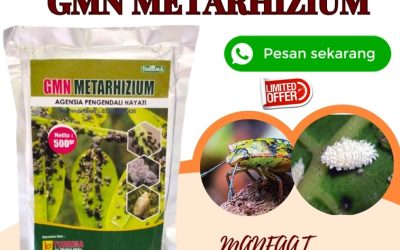ASLI! 0813-2747-3262, GROSIR Pembasmi Hama Balongpanggang, Insektisida Dukun, Insektisida Hayati Benjeng