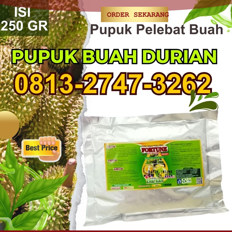 JUAL Pupuk Durian Agar Cepat Berbuah Kota Palu, GROSIR Pupuk Durian Agar Cepat Besar Palu, Pupuk Durian Saat Berbunga Banggai