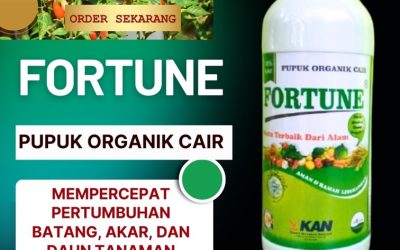 TERPERCAYA! 0813-2747-3262, JUAL Pupuk Organik Cair Jepara, Pupuk Organik Cair Terbaik Karanganyar, Pupuk Organik Terbaik Grobogan