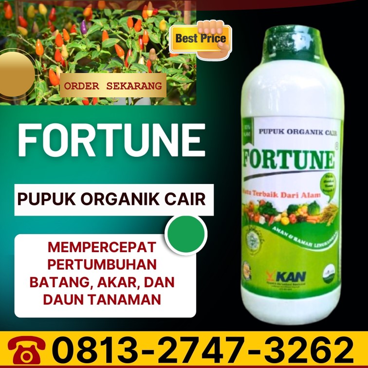 JUAL Pupuk Organik Cair Jepara, GROSIR Pupuk Organik Cair Terbaik Karanganyar, Pupuk Organik Terbaik Grobogan