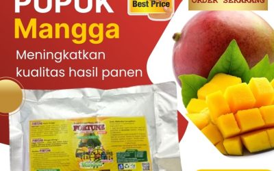 TERPERCAYA! 0813-2747-3262, JUAL Pupuk Buah Mangga Jepara, Pupuk Booster Mangga Karanganyar, Pupuk Organik Mangga Grobogan