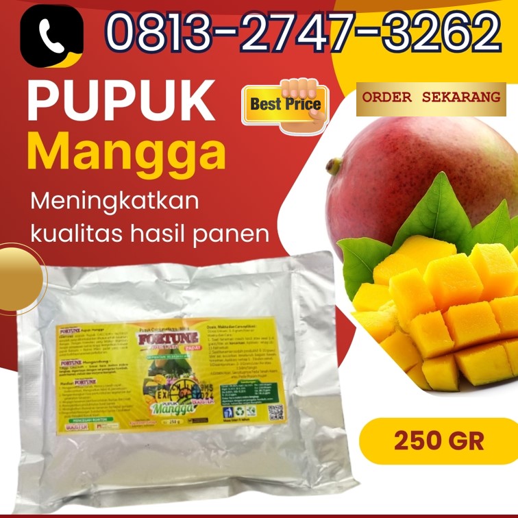 JUAL Pupuk Perangsang Buah Mangga Jepara, GROSIR Pupuk Mangga Irwin Karanganyar, Pupuk Organik Untuk Mangga Grobogan