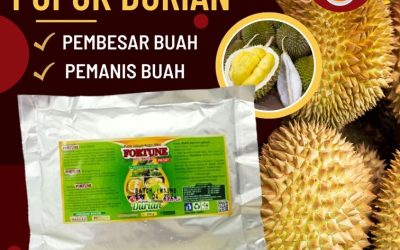 100% ALAMI! 0813-2747-3262, GROSIR Pupuk Organik Durian Palu, Pupuk Durian Terbaik Banggai, Pupuk Durian Luwuk