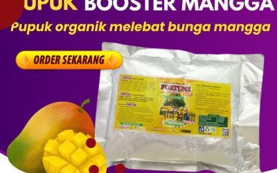 100% ALAMI! 0813-2747-3262, GROSIR Pupuk Booster Mangga Karanganyar, Pupuk Organik Mangga Grobogan, Booster Mangga Kebumen