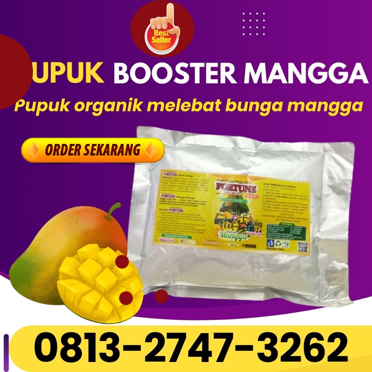 GROSIR Pupuk Mangga Irwin Karanganyar, HARGA Pupuk Organik Untuk Mangga Grobogan, Pupuk Pohon Mangga Kebumen