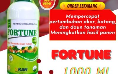 100% ALAMI! 0813-2747-3262, GROSIR Pupuk Organik Cair Terbaik Karanganyar, Pupuk Organik Terbaik Grobogan, Pupuk Organik Cabe Kebumen
