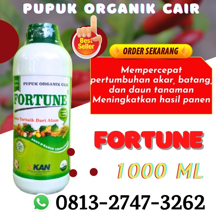 GROSIR Pupuk Organik Cair Terbaik Karanganyar, HARGA Pupuk Organik Terbaik Grobogan, Pupuk Organik Cabe Kebumen