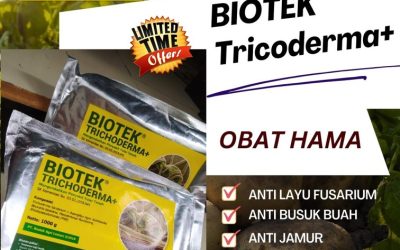 FREE KONSULTASI 0813*2747*3262, TOKO Fungisida Trichoderma Gading Cempaka, Fungisida Hayati Trichoderma Kampung Melayu, Fungisida Tricoderma KandangKandang
