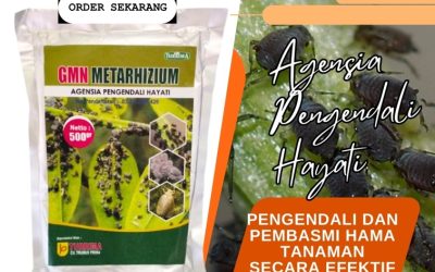 OPEN RESELLER! 0813-2747-3262, HARGA Insektisida Dukun, Insektisida Hayati Benjeng, Insektisida Alami Manyar