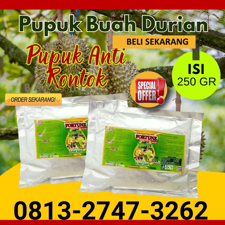 HARGA Pupuk Durian Saat Berbunga Banggai, AGEN Pupuk Durian Agar Berbuah Lebat Luwuk, Pupuk Durian Agar Tidak Rontok Poso