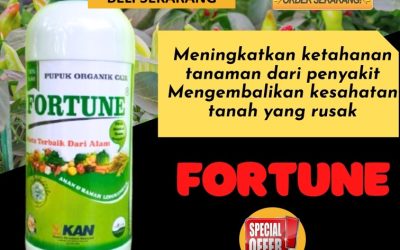 OPEN RESELLER! 0813-2747-3262, HARGA Pupuk Organik Terbaik Grobogan, Pupuk Organik Cabe Kebumen, Pupuk Cabe Kendal