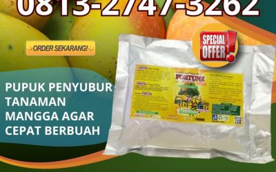 OPEN RESELLER! 0813-2747-3262, HARGA Pupuk Organik Mangga Grobogan, Booster Mangga Kebumen, Pupuk Mangga Kendal