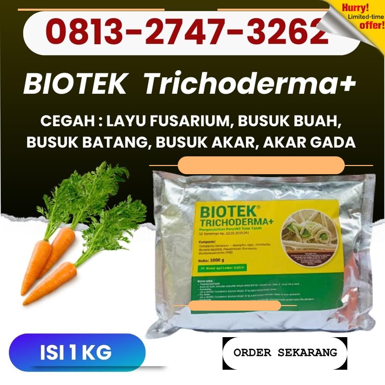 PUSAT Fungisida Untuk Anggrek Kampung Melayu, JUAL Fungisida Untuk Embun Tepung KandangKandang, Fungisida Untuk Anggur Muara Bangka Hulu