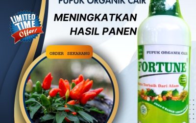 TERBAIK! 0813-2747-3262, DISTRIBUTOR Pupuk Organik Cair Terbaik Blora, Pupuk Organik Terbaik Boyolali, Pupuk Organik Cabe Brebes