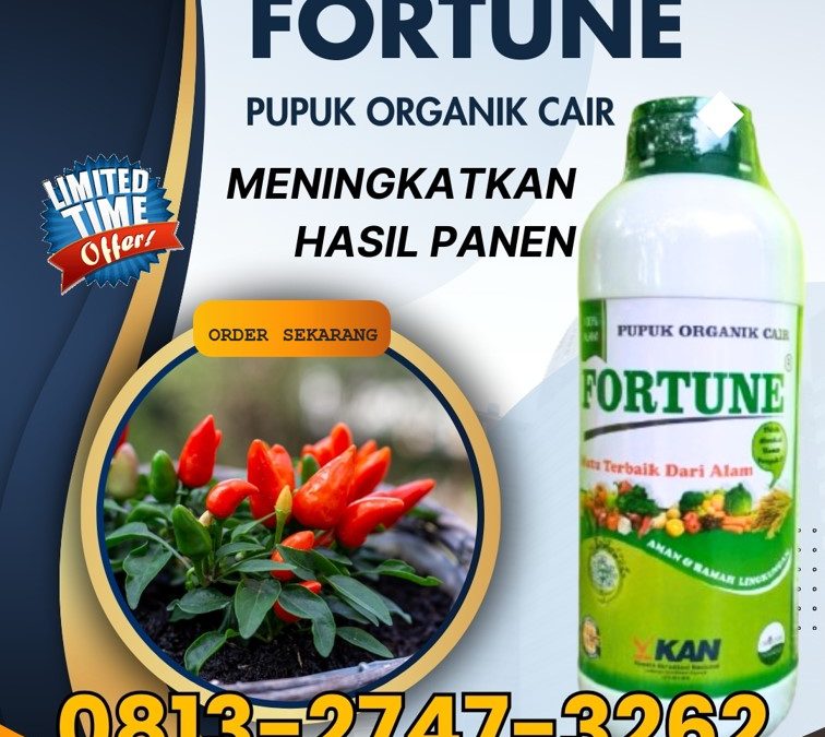 TERBAIK! 0813-2747-3262, DISTRIBUTOR Pupuk Organik Cair Terbaik Blora, Pupuk Organik Terbaik Boyolali, Pupuk Organik Cabe Brebes