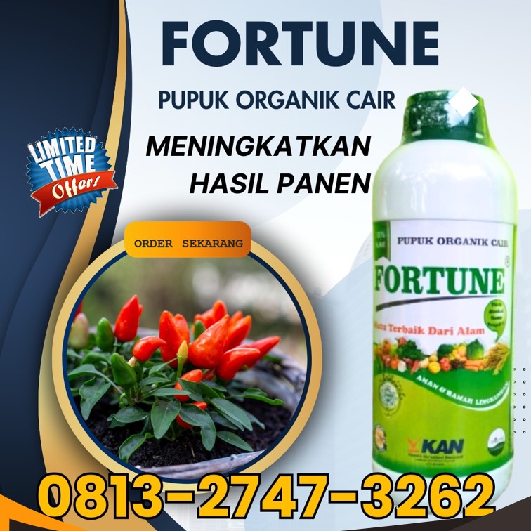 DISTRIBUTOR Pupuk Cabe Setelah Panen Blora, AGEN Pupuk Cabai Rawit Boyolali, Pupuk Cabe Terbaik Brebes