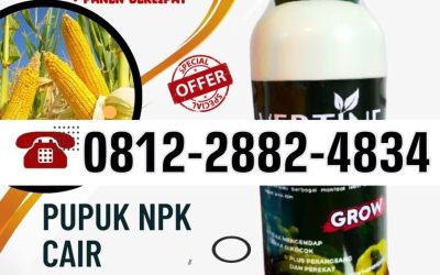 PASTI SUBUR! 0812-2882-4834, AGEN NPK Pupuk Jagung Agar Berbuah Besar Banawa