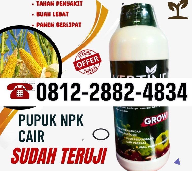 AGEN NPK Pupuk Jagung Agar Berbuah Besar Banawa