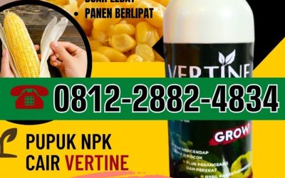 ORGANIK! 0812-2882-4834, AGEN NPK Pupuk Jagung Terbaik Poso