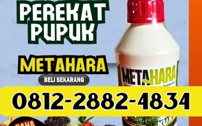 ORGANIK! 0812-2882-4834, AGEN Perekat Insektisida Blitar