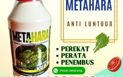 BISA COD! WA 0812-2882-4834, TOKO Perekat Perata Penembus Pestisida Terbaik di Bondowoso