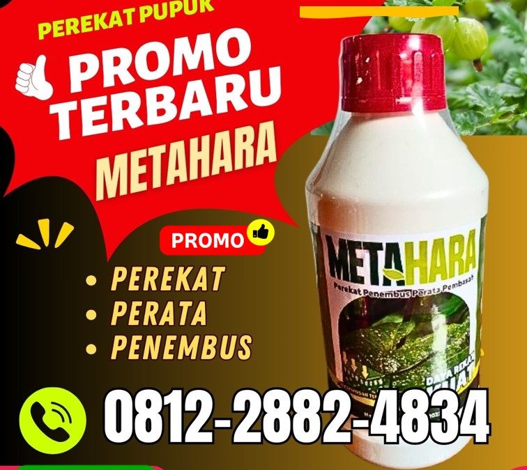 DAYA REKAT KUAT! HUB : 0812-2882-4834, AGEN Perekat Perata di Bojonegoro