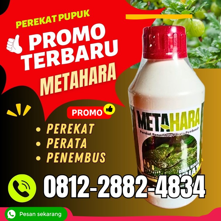 AGEN Perekat Perata di Bojonegoro