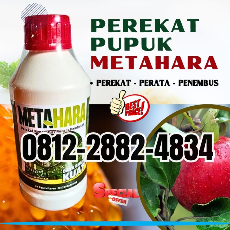 AGEN Perekat Pestisida di Lumajang