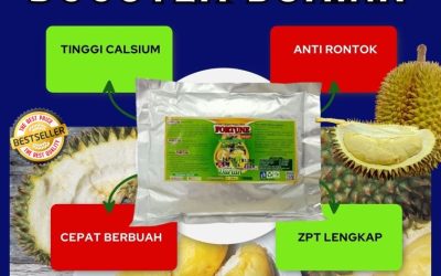 FREE KONSULTASI! 0812-2882-4834, AGEN Pupuk Booster Durian Salakan