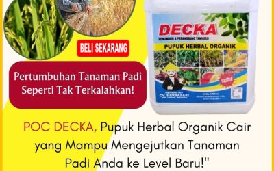 PASTI SUBUR! 0812*2882*4834, AGEN Pupuk Padi Cair Mamasa