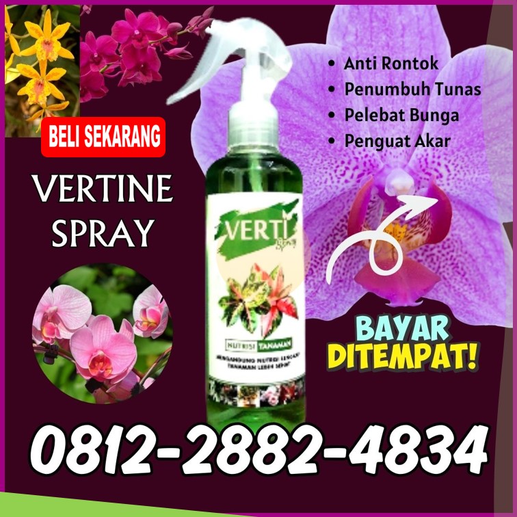 AGEN Verti Spray Pupuk Daun Terbaik Ketapang