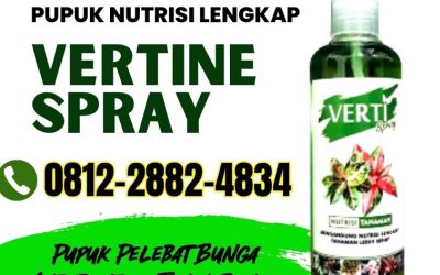 PRAKTIS! 0812-2882-4834, AGEN Vertine Spray Pupuk Daun Dan Akar Sungai Kunyit