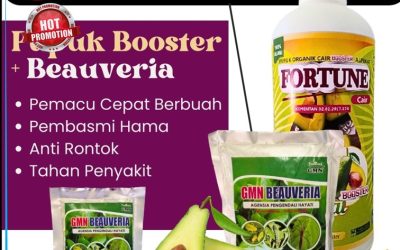 TERBAIK! 0812-2882-4834, DISTRIBUTOR Pupuk Alpukat di Kotabumi