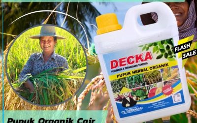 TERBAIK! 0812*2882*4834, DISTRIBUTOR Pupuk Padi Mamasa