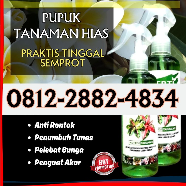 DISTRIBUTOR Verti Spray Pupuk Daun di Sanggau