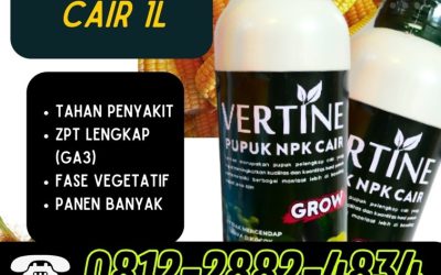 HARGA KHUSUS! 0812-2882-4834, GROSIR NPK Pupuk Buah Jagung Luwuk