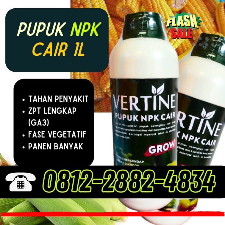 GROSIR NPK Pupuk Buah Jagung Luwuk