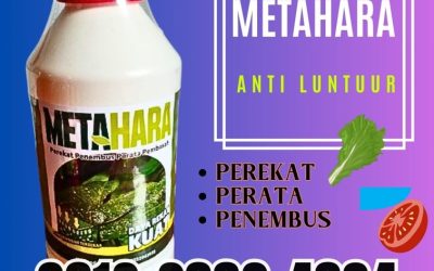 HARGA KHUSUS! 0812-2882-4834, GROSIR Perekat Fungisida Bangkalan