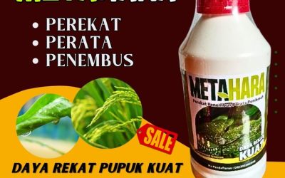 100% AMAN! 0812-2882-4834, GROSIR Perekat Herbisida Ngasem