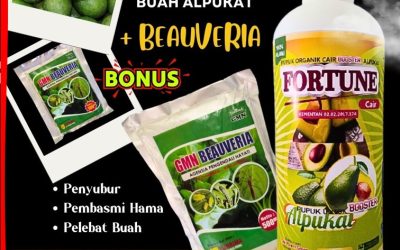 TERBUKTI! 0812-2882-4834, HARGA Pupuk Booster Alpukat di Gunung Sugih
