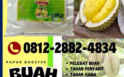 100% ALAMI! 0812-2882-4834, GROSIR Pupuk Durian Bungku