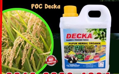 ORGANIK! 0812*2882*4834, AGEN Pupuk Padi Terbaik Kalukku