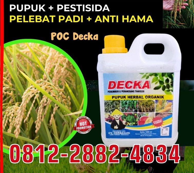 ORGANIK! 0812*2882*4834, AGEN Pupuk Padi Terbaik Kalukku
