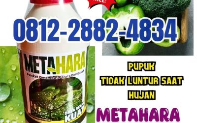 OPEN RESELLER! 0812-2882-4834, HARGA Perekat Insektisida di Lamongan
