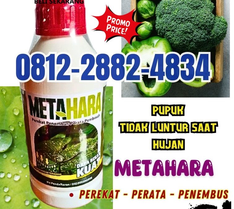 OPEN RESELLER! 0812-2882-4834, HARGA Perekat Insektisida di Lamongan