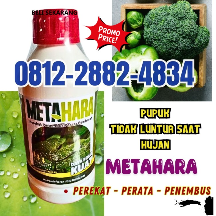 HARGA Perekat Insektisida di Lamongan