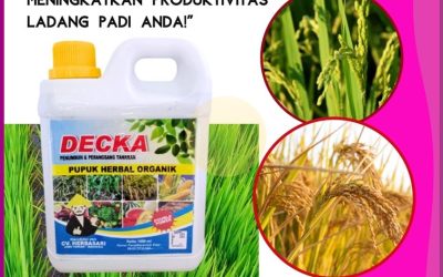 TERBUKTI! 0812*2882*4834, HARGA Pupuk Padi Organik Mamuju
