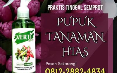 TERBUKTI! 0812-2882-4834, HARGA Vertine Spray Pupuk Daun Cair Terbaik Mempawah